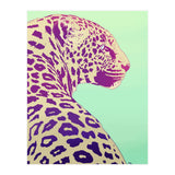 Leopard Under The Sun (Print Only) thumbnail