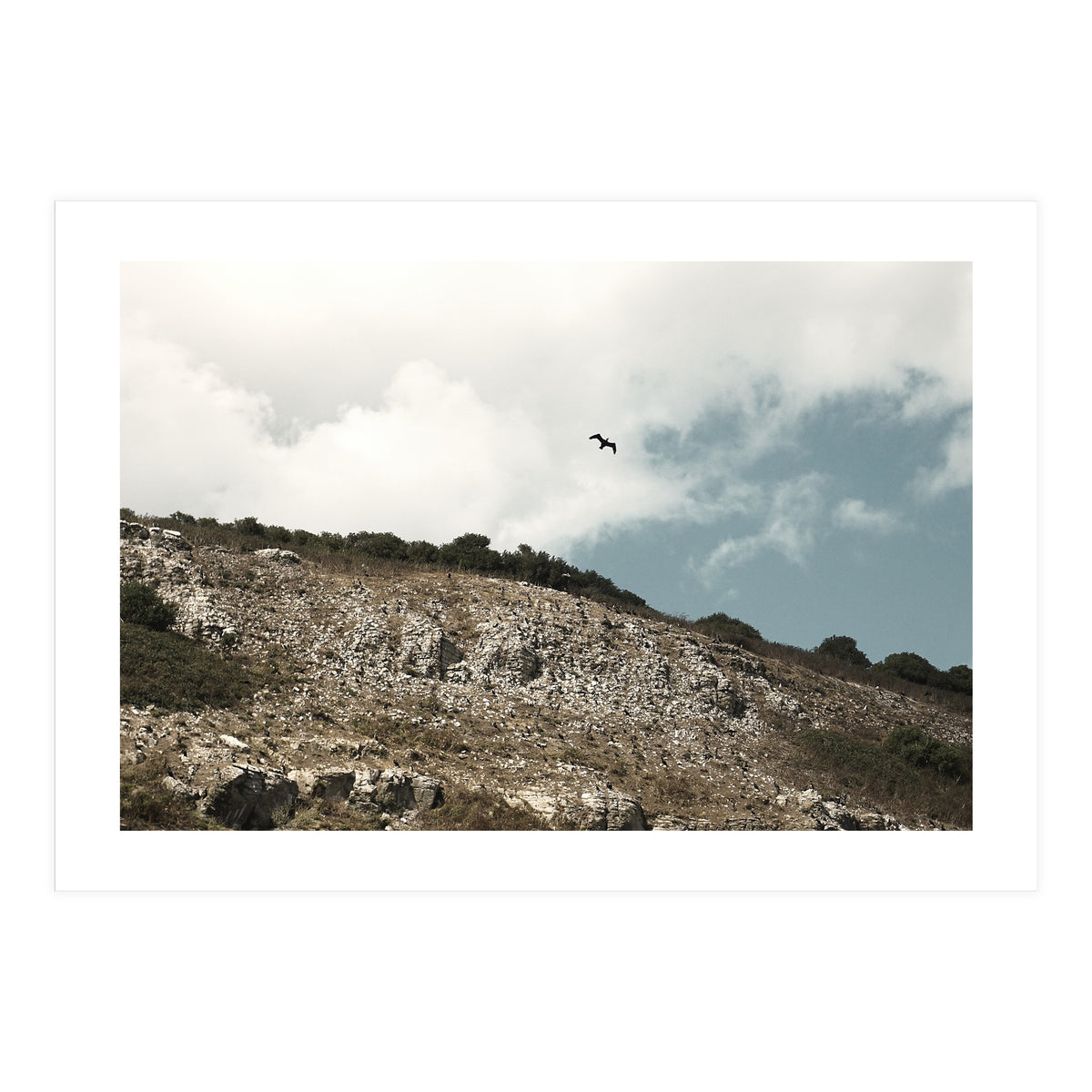 Soar High (Print Only)