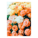 Garden Song (Print Only) thumbnail