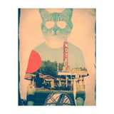 Cool Cat (Print Only) thumbnail
