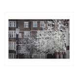 Chelsea Spring  (Print Only) thumbnail