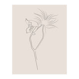 Flower 01 (Print Only) thumbnail