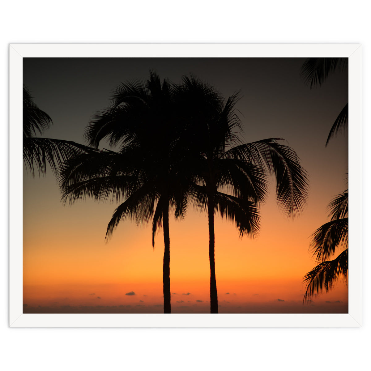 Mexico, November nights