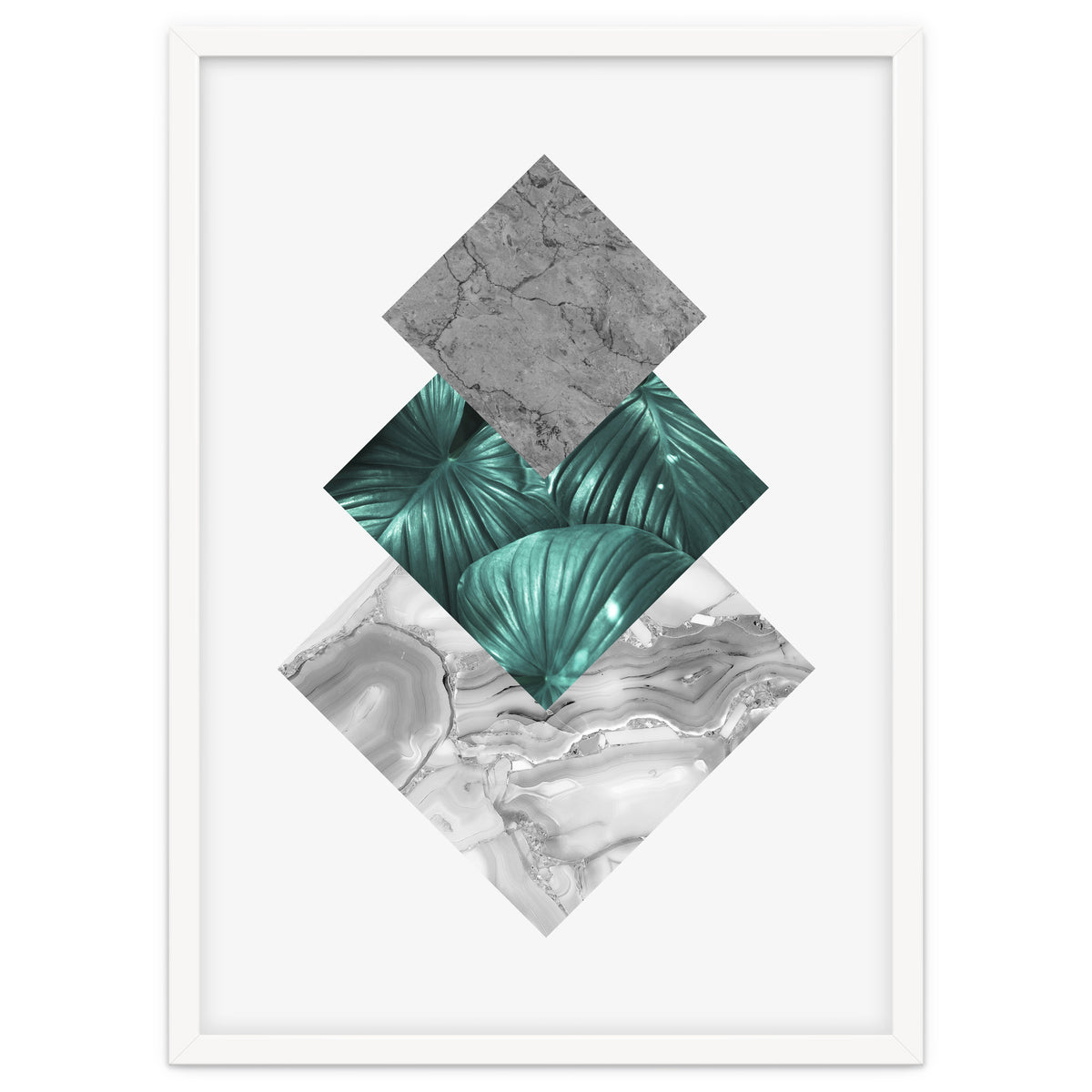 Botanical and geometric V