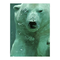 Polar Bear Under Water (Print Only)