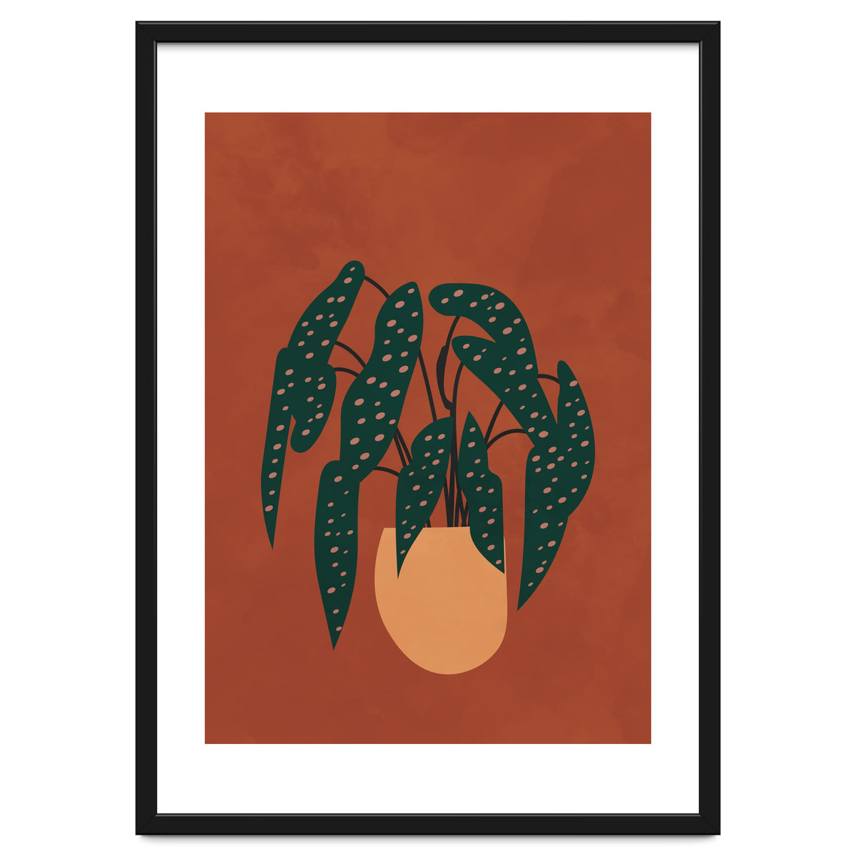 Boho Terracotta Begonia