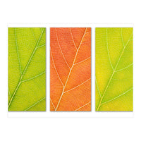 Autumn Leaves (Print Only)