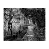 Monochrome path (Print Only) thumbnail