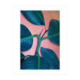 Ficus Elastica (Print Only) thumbnail