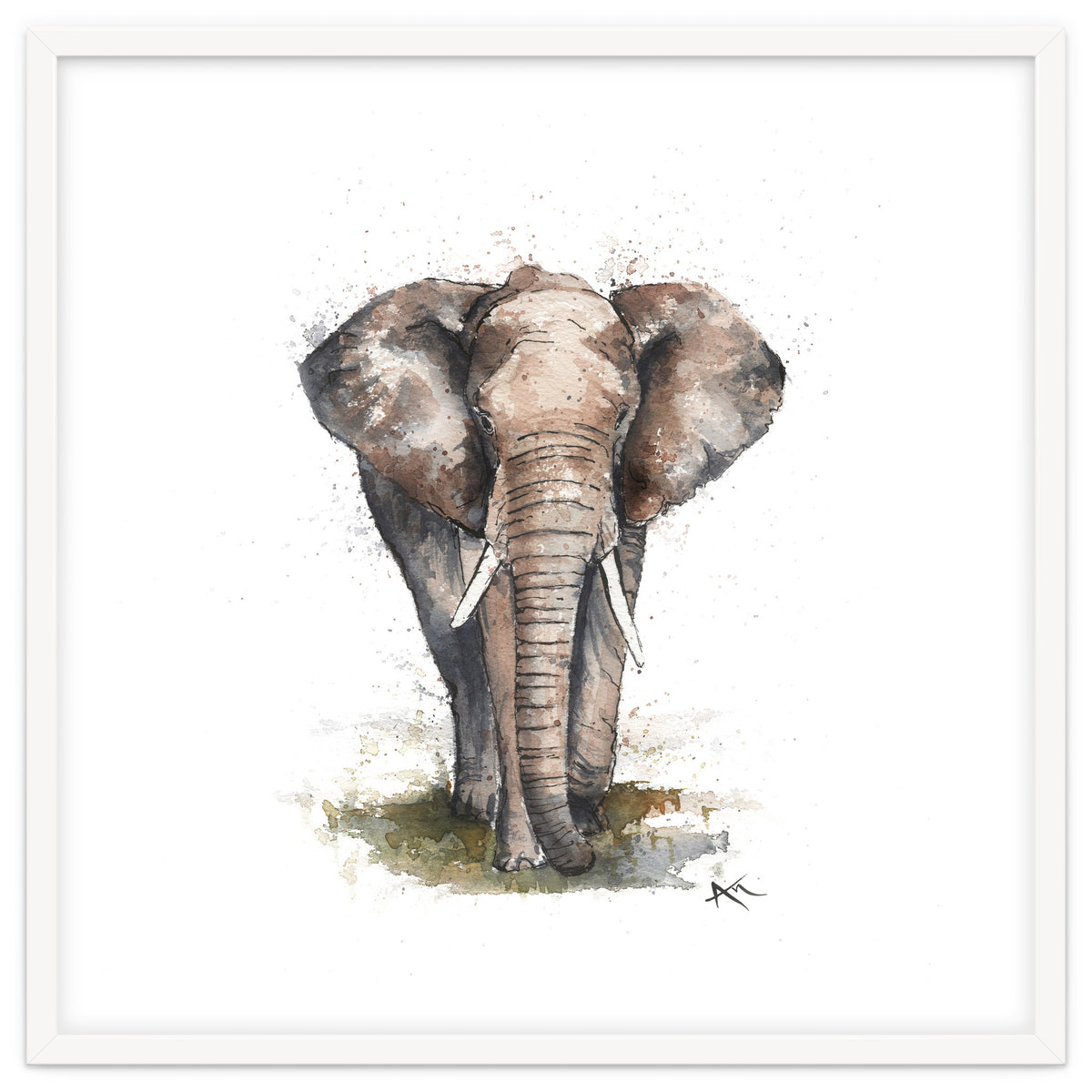 Elephant - Wildlife Collection