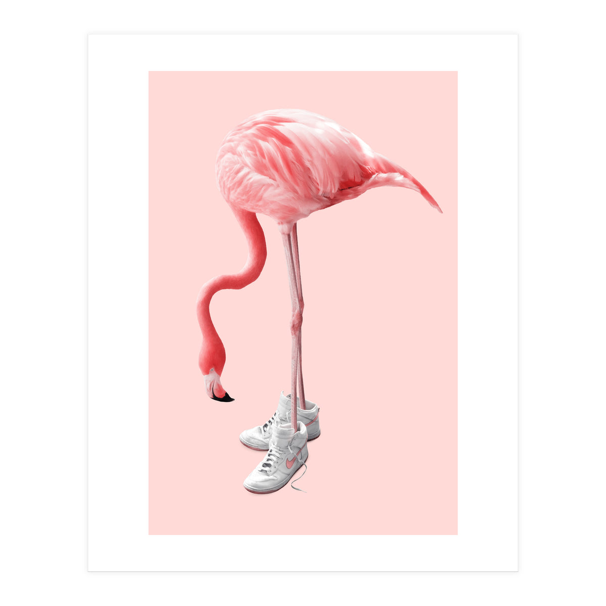 Sneaker Flamingo (Print Only)