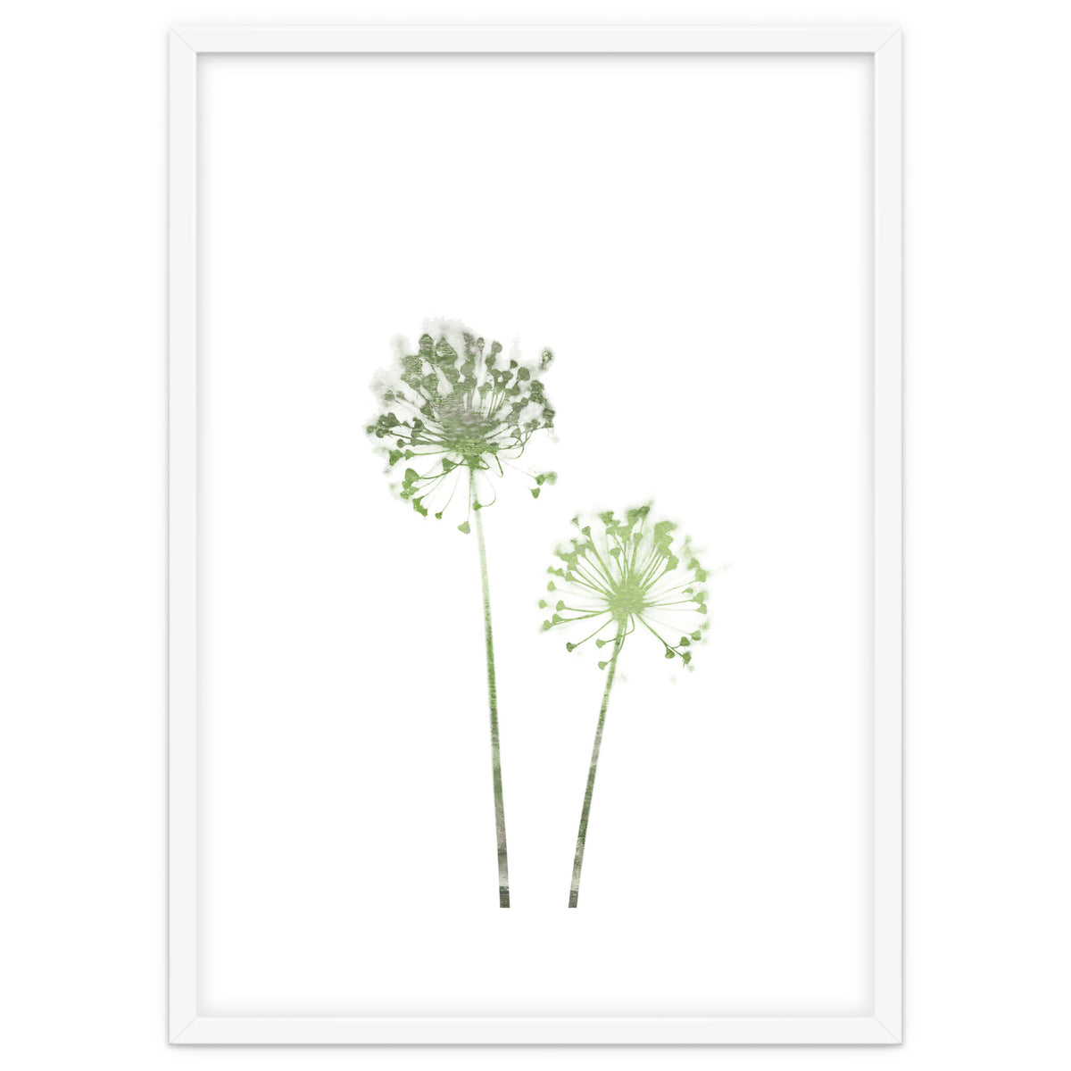 Olive Green Dandelion