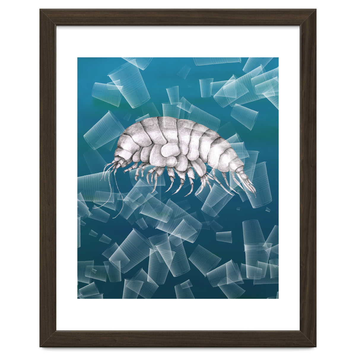 Eurythenes Plasticus