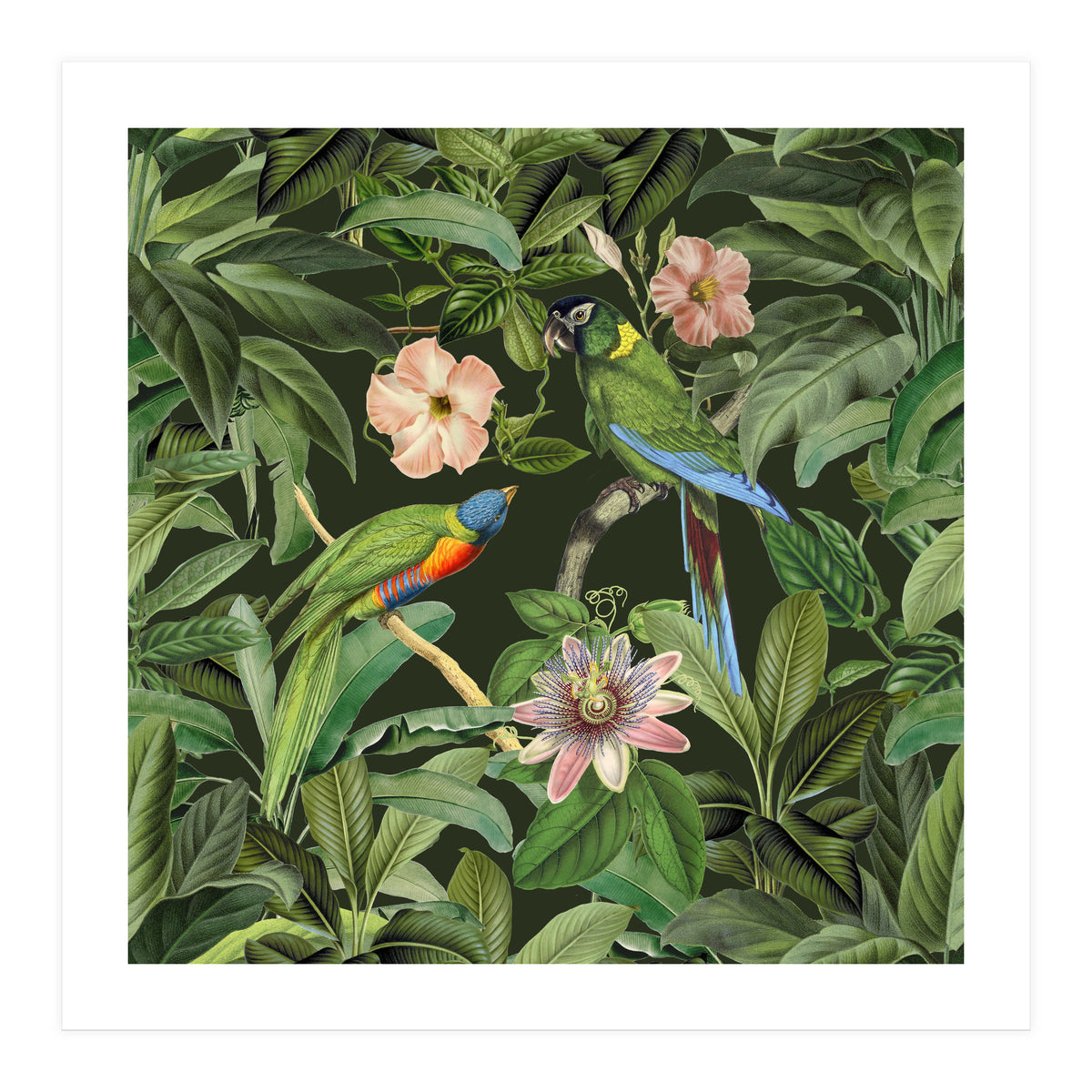 Exotic Jungle Birds (Print Only)