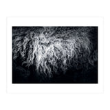 the sheep (Print Only) thumbnail