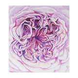 A Rose Is A Rose Std (Print Only) thumbnail