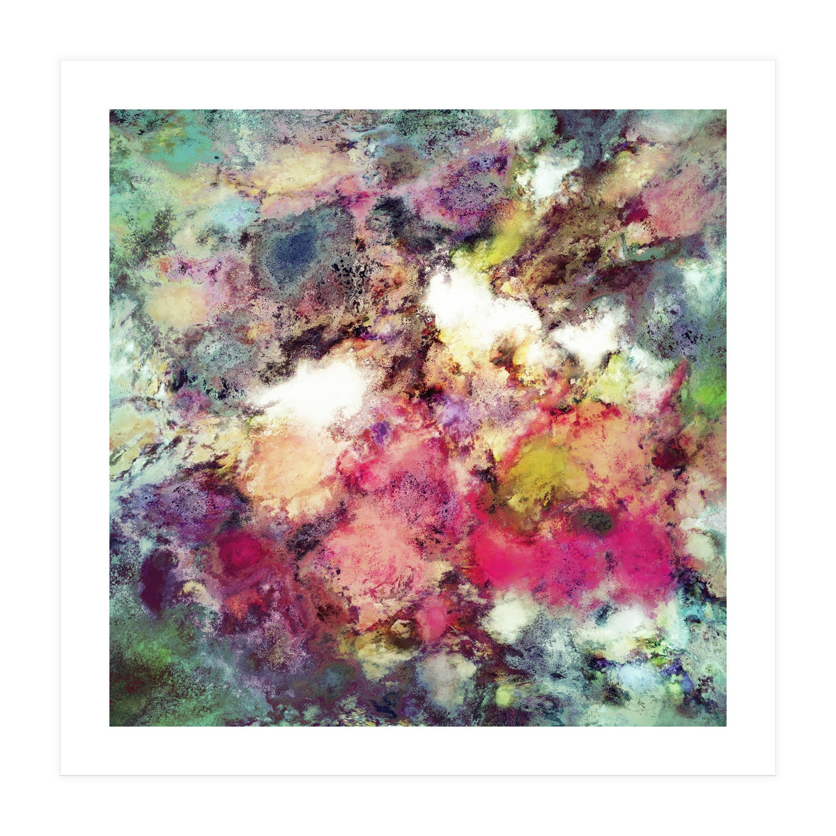 Raspberry Rocks (Print Only)