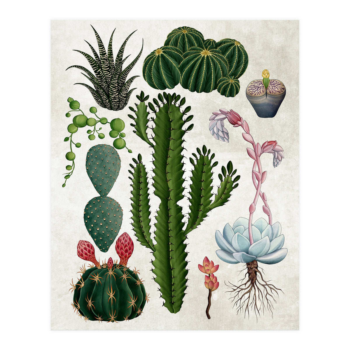 botanical (Print Only)