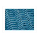 Pteridopsida 3 (Print Only) thumbnail