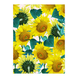 Sunflower (Print Only) thumbnail