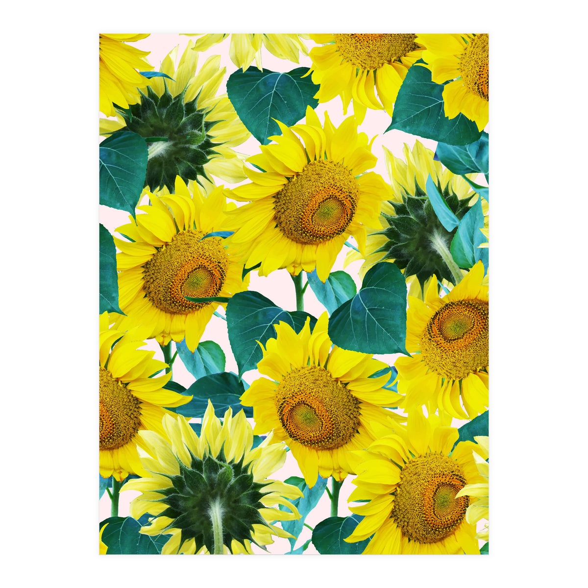 Sunflower (Print Only)