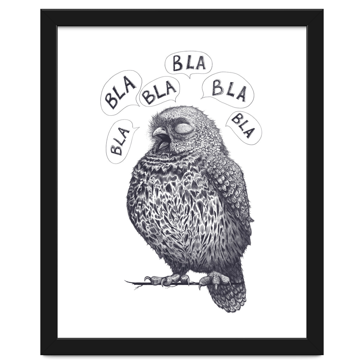 Owl Bla Bla Bla