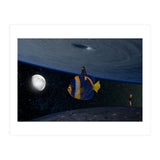 Fish fly (Print Only) thumbnail