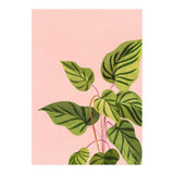 Tropical Rising (Print Only) thumbnail