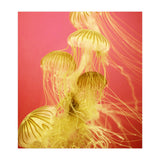 Jelly #7  (Print Only) thumbnail