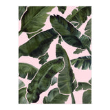 Palms (Print Only) thumbnail