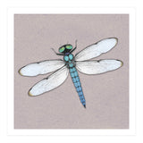 Blue dragonfly (Print Only) thumbnail