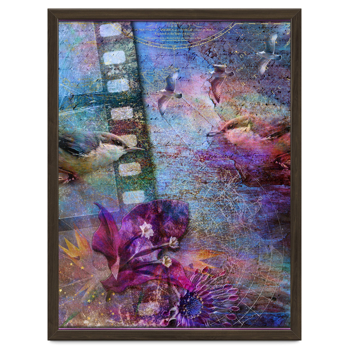 Watching the Wild World