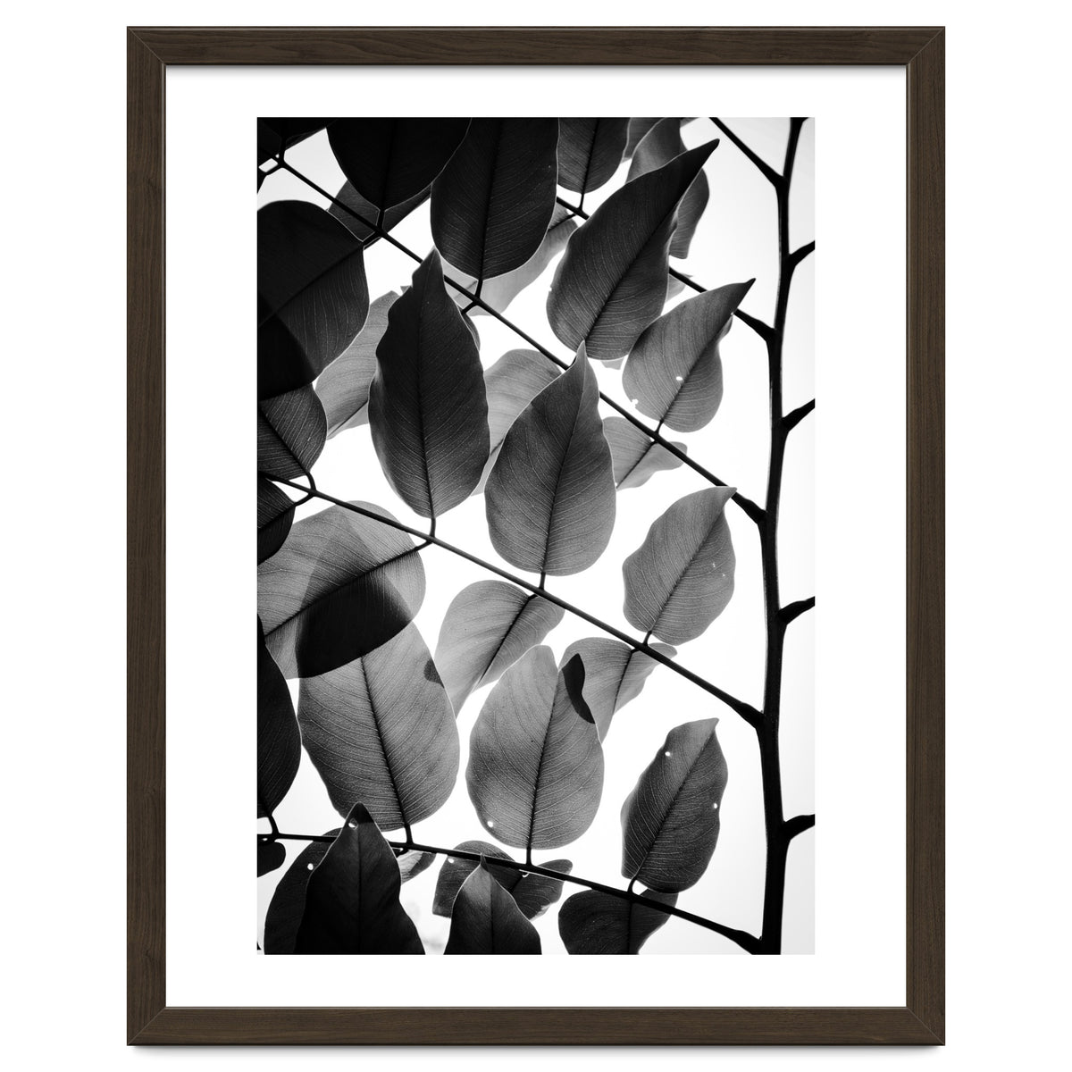 Branches and Leaves II