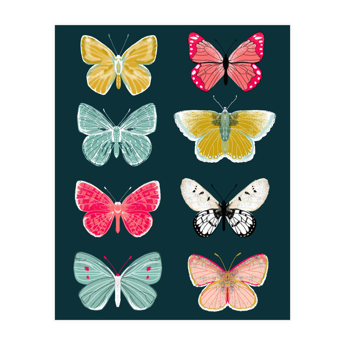 Lepidoptery Study No. 2 (Print Only)