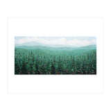 Oregon Pines (Print Only) thumbnail