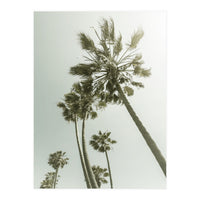 Vintage Palm Trees  (Print Only)