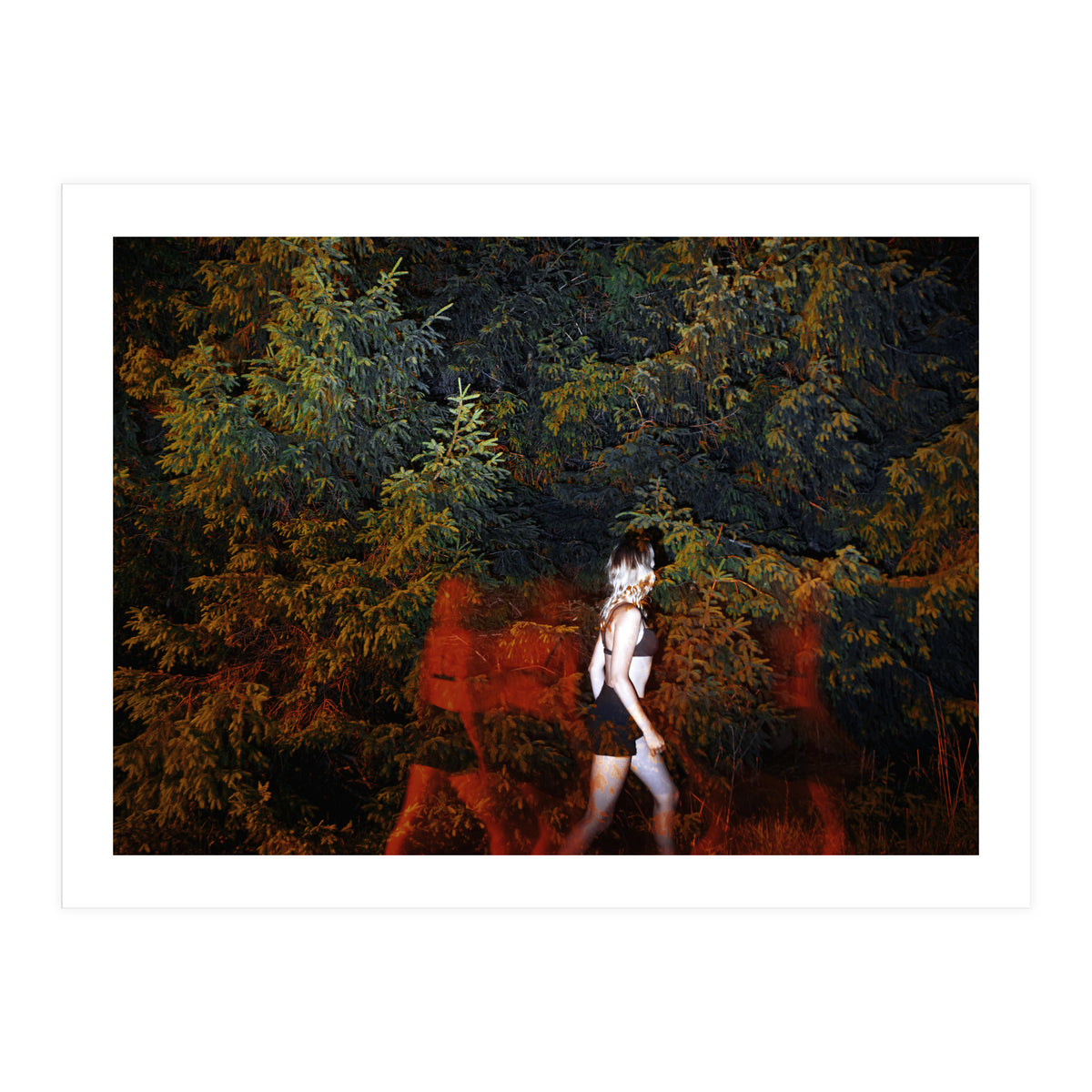 Red Shadows (Print Only)