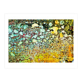 Sage (Print Only) thumbnail