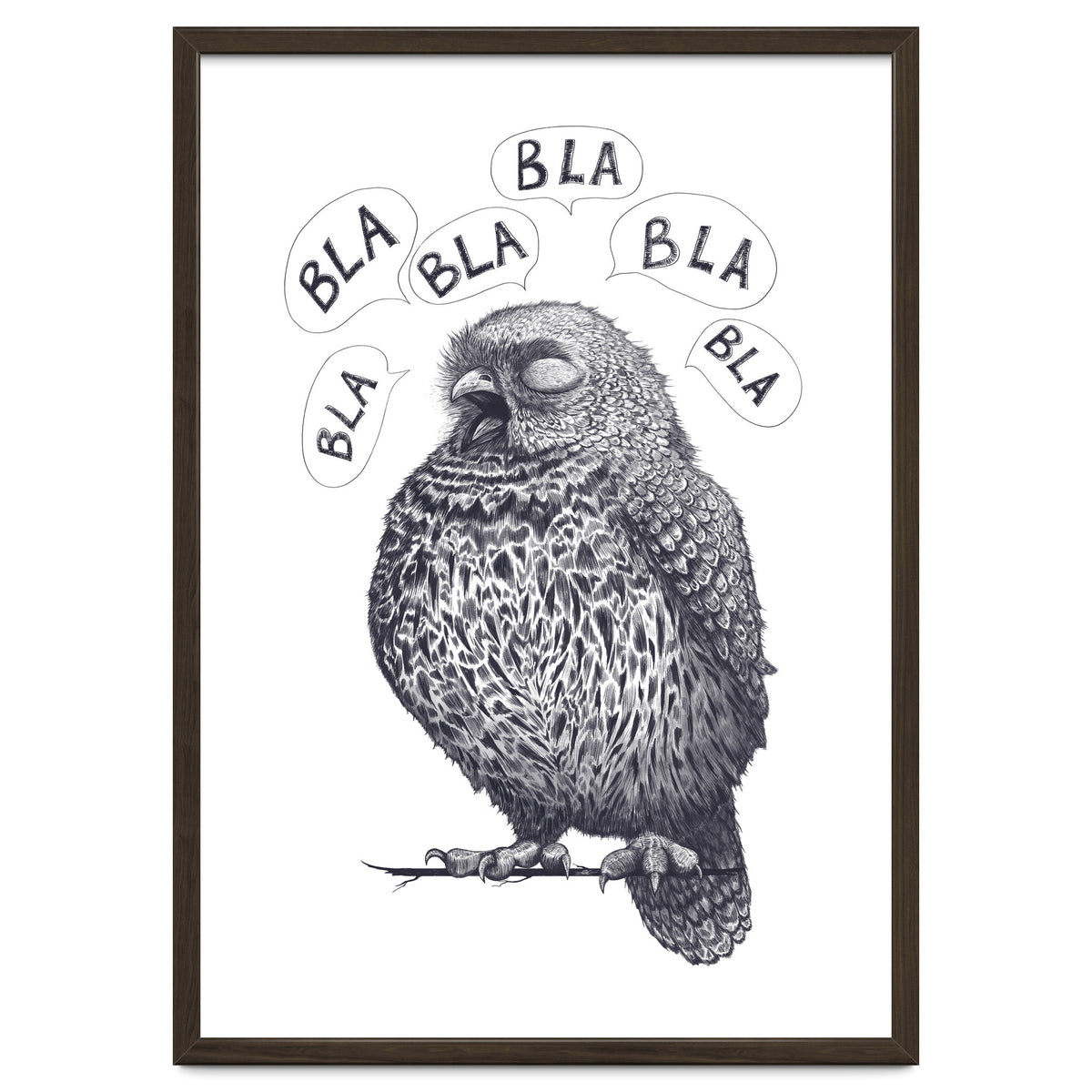 Owl Bla Bla Bla
