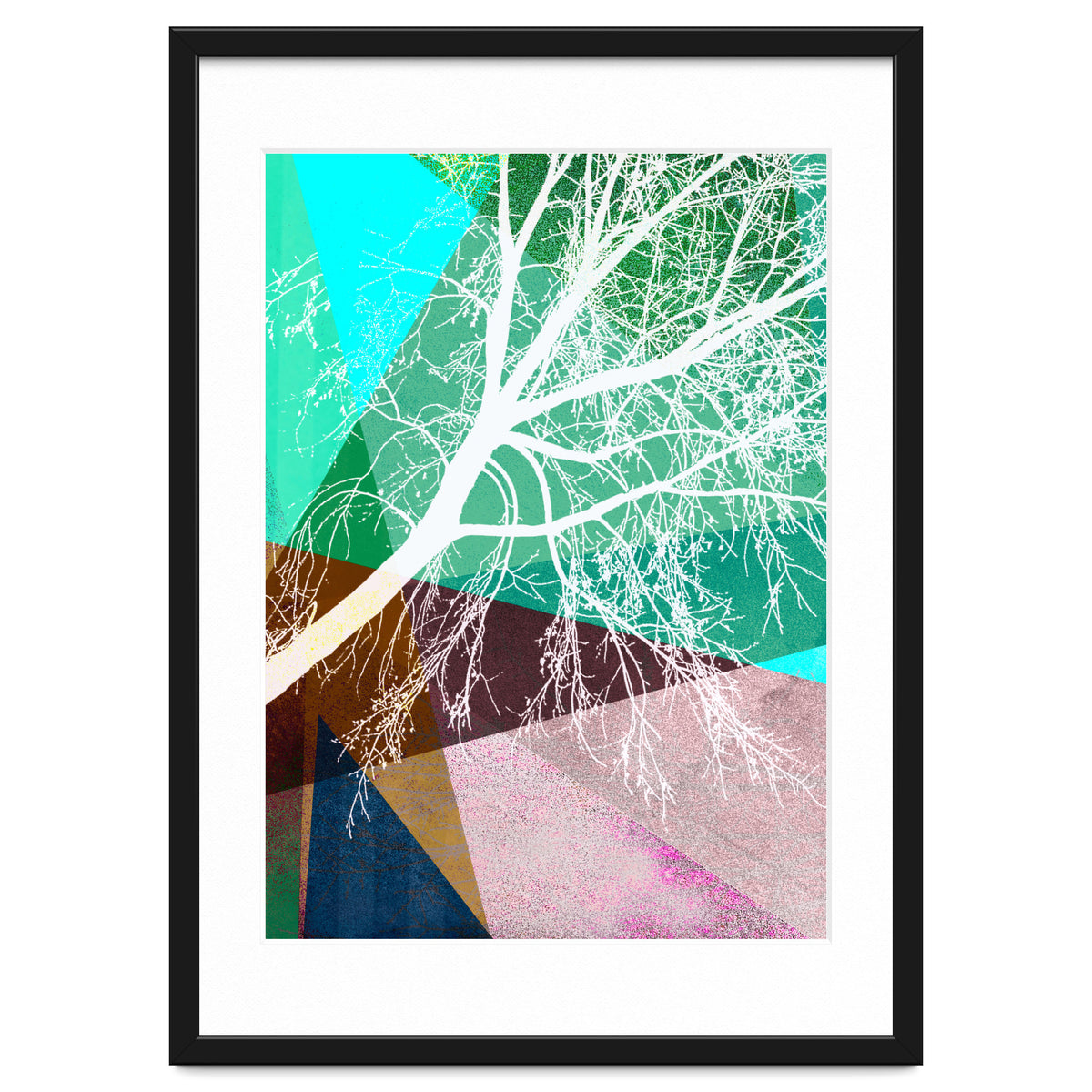 P16-H Trees And Triangles