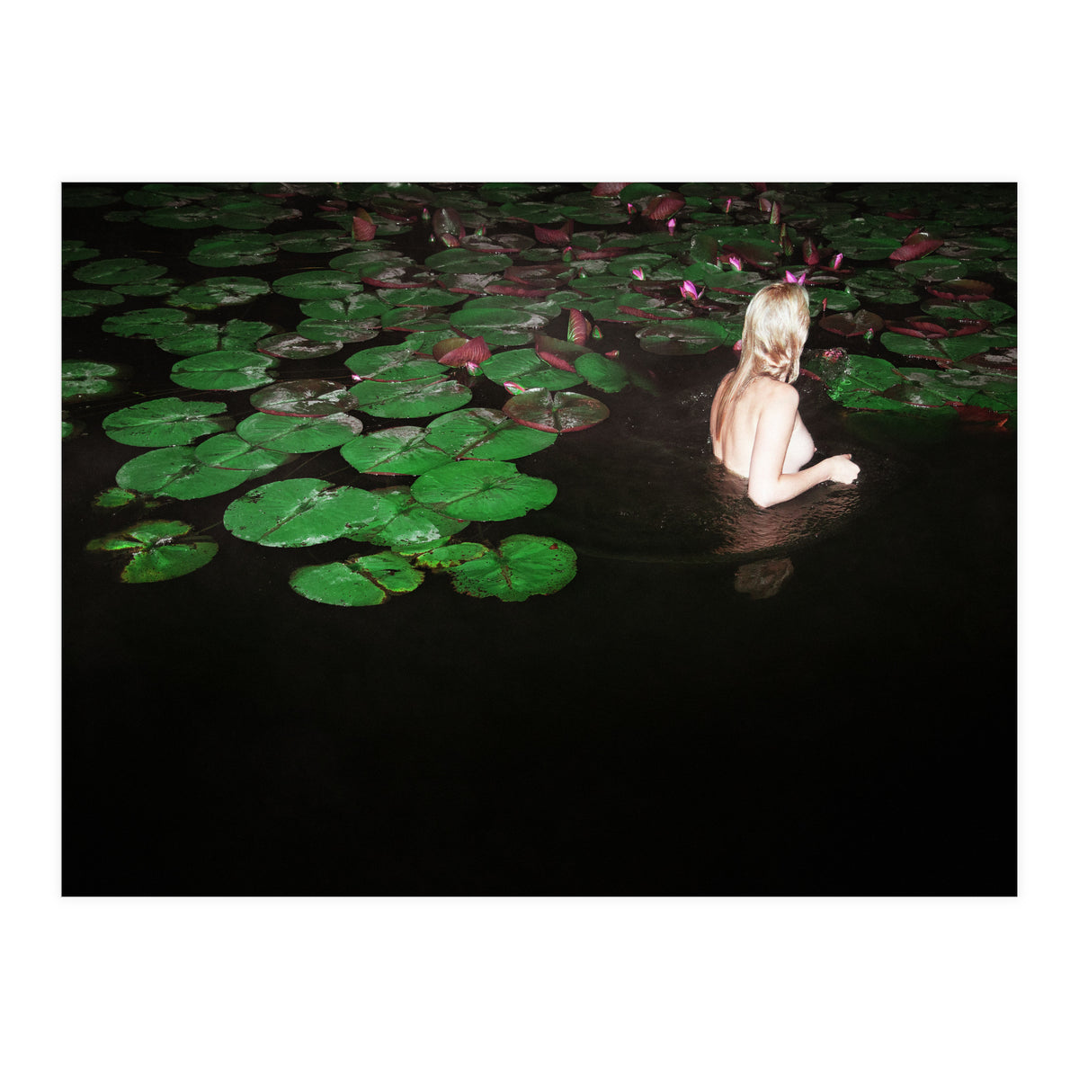 This is Not what You think It is (Print Only)