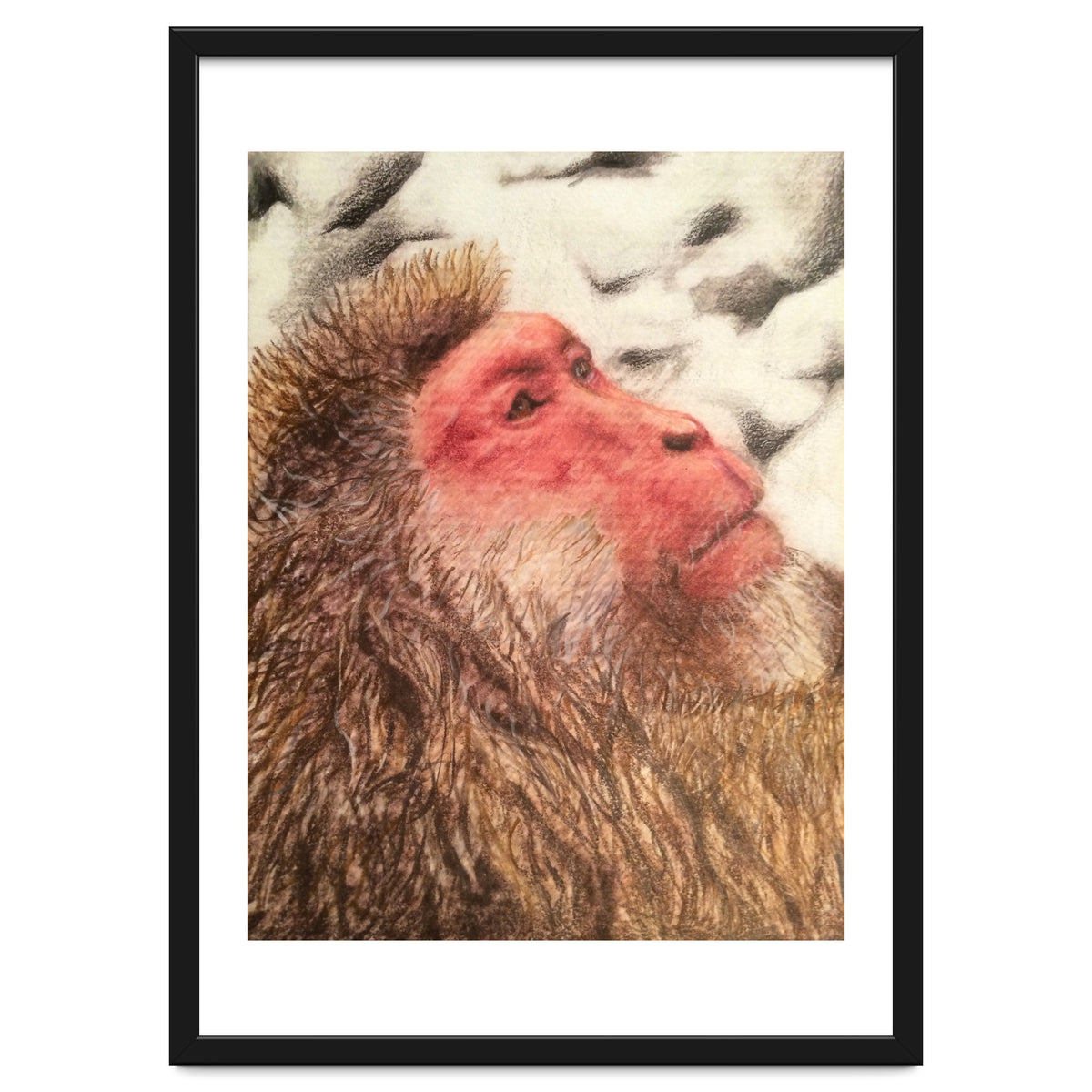 Japanese Macaque At The Onsen