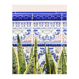 Moroccan Botany (Print Only) thumbnail