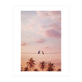 Hummingbirds In Love (Print Only) thumbnail