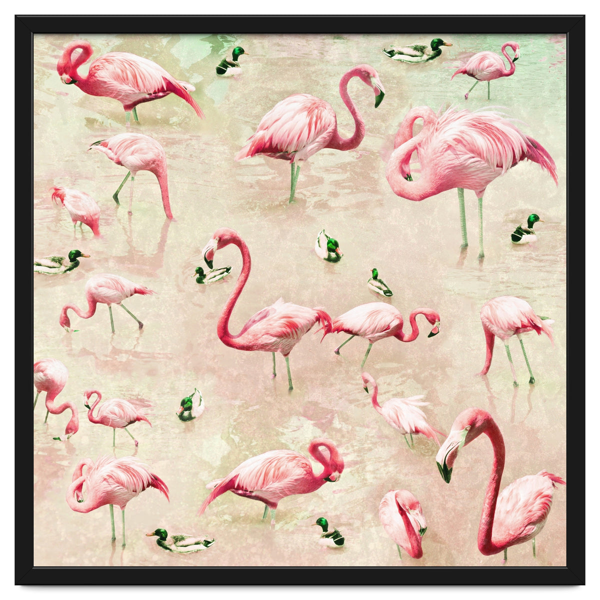 Flamingos Vintage Pink