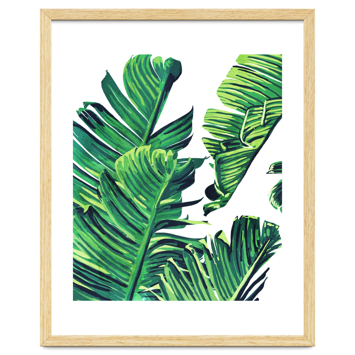 Banana Tree Leaves