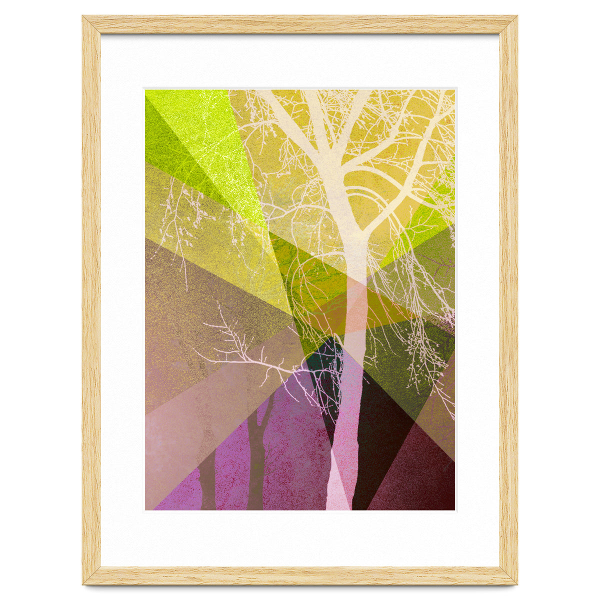 P22 A Trees And Triangles