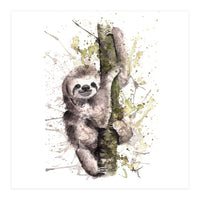 Sloth - Wildlife Collection (Print Only)