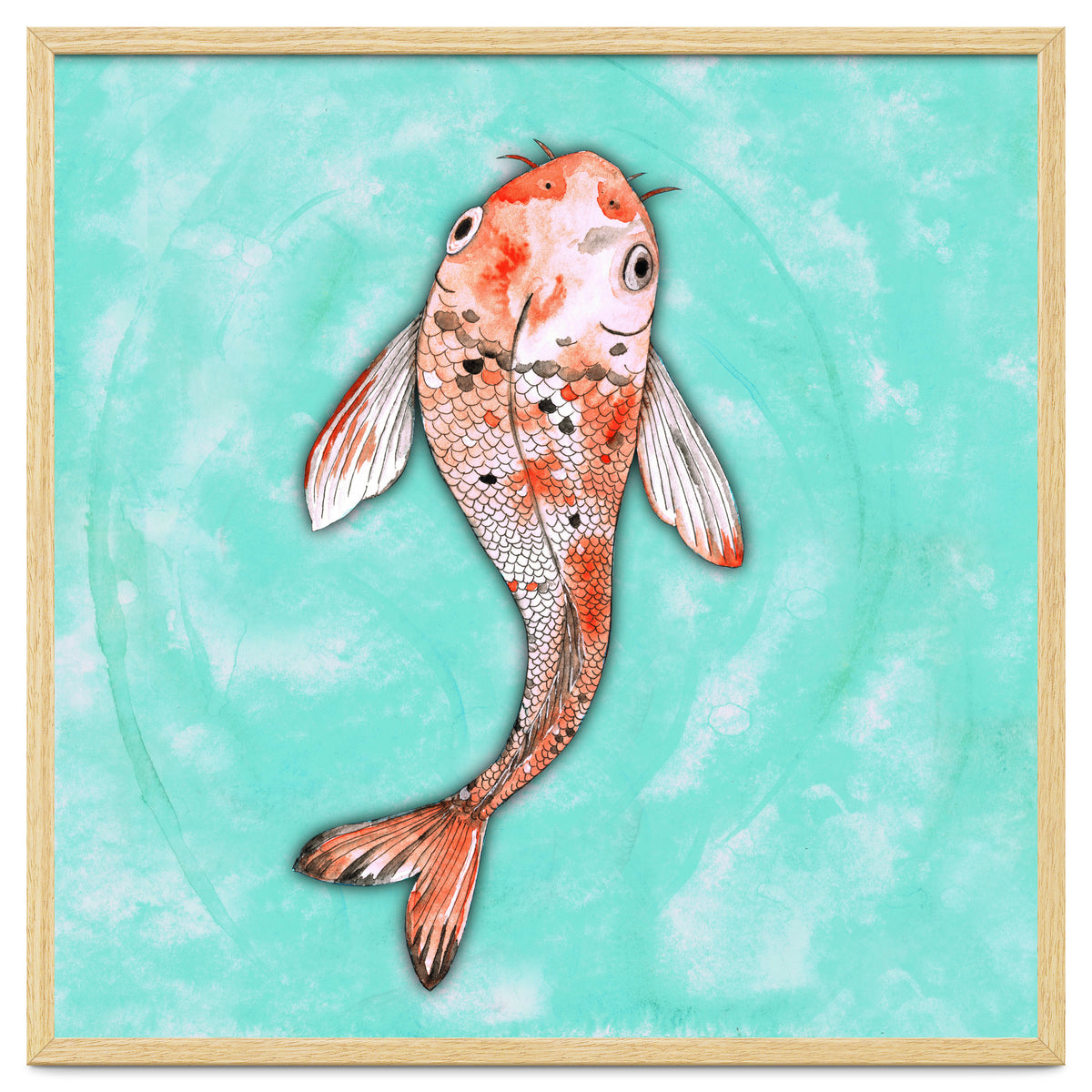 Koi fish