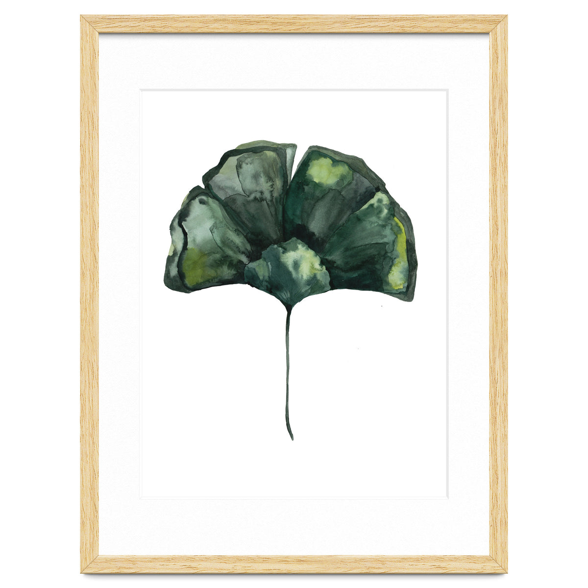Botanical Illustration Ginko